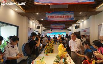 遂溪新闻爆料最新消息视频,视频揭露惊人真相! 第1张 遂溪新闻爆料最新消息视频,视频揭露惊人真相! 第1张